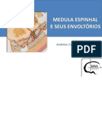Medula Espinhal e Seus Envoltorios