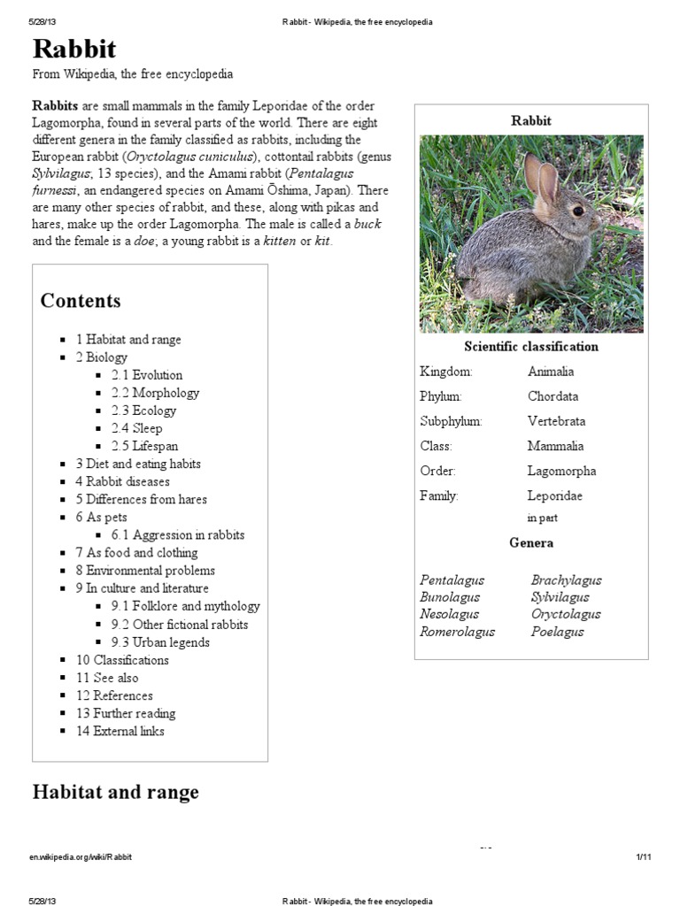 Bunny Summary And Study Guide , Bunny Summary & Study Guide – BYNSFK