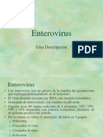 Enterovirus: Una Descripción Concisa de los Picornavirus Gastrointestinales