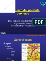 tratamientodelpacientequemad0.pdf