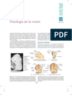 Fisiologia de La Vision