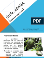 Guanabana Exposicion