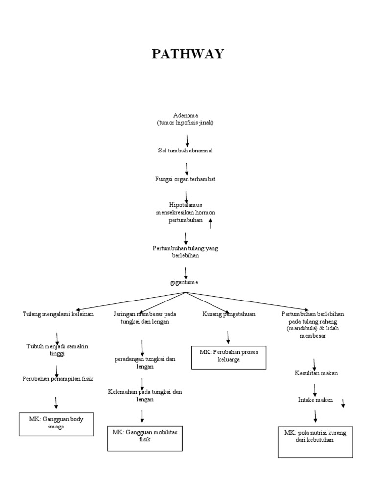 Pathway | PDF