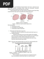 Download Solidifikasi by Pungkas Rahmatullah SN144046479 doc pdf
