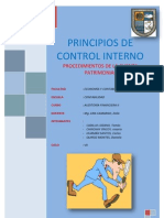 Principios de Control Interno Patrimonio