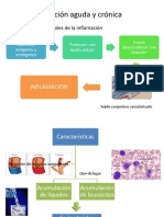 inflamacionagudaycronica-110604020932-phpapp01