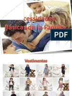 Necessidades Básicas de La Família