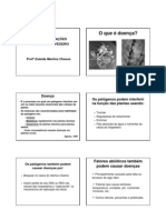 CICLO DAS RELAÇÕES_fito geral