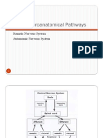 Basic Neuroanatomical Pathways2