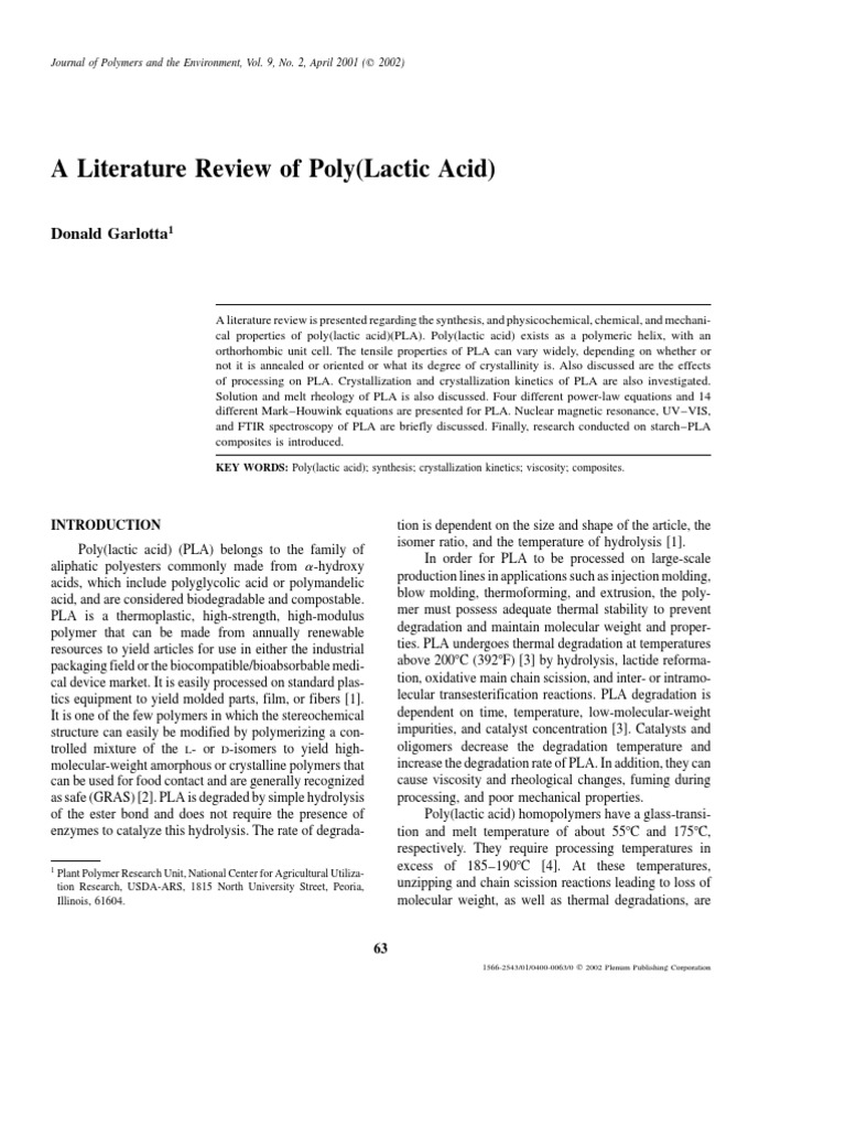 Polymer 80 review picture