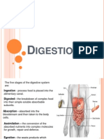 Digestion