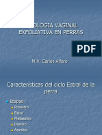 Citologia Vaginal