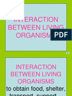 Interaction Between Living Organisms