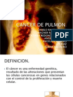 Cancerdepulmon 110518191748 Phpapp02