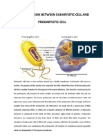 Comparison Between Eukaryotic Cell and Prokaryotic Cell