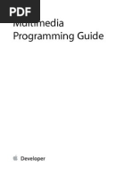 Download Multimedia Programming Guide by Antoine Pannetier SN144111277 doc pdf