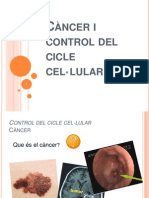 Càncer i cicle cel·lular