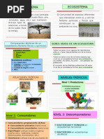 Apuntes Sobre Los Ecosistemas 4 Primaria