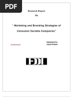 Download Marketing and Branding Strategies of Consumer Durable Companies by Aman Singh SN144135074 doc pdf