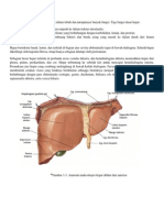 Git Sk. 2 Hepatitis A