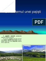 Ecosistemul Unei Pajisti