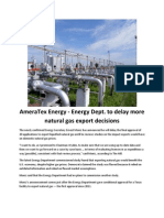 AmeraTex Energy - Energy Dept. To Delay More Natural Gas Export Decisions
