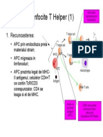 Imunologie Suport Curs Draft V 0 4 28