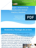 Anatatomia y Fisiologia de Los Animales Bovinos