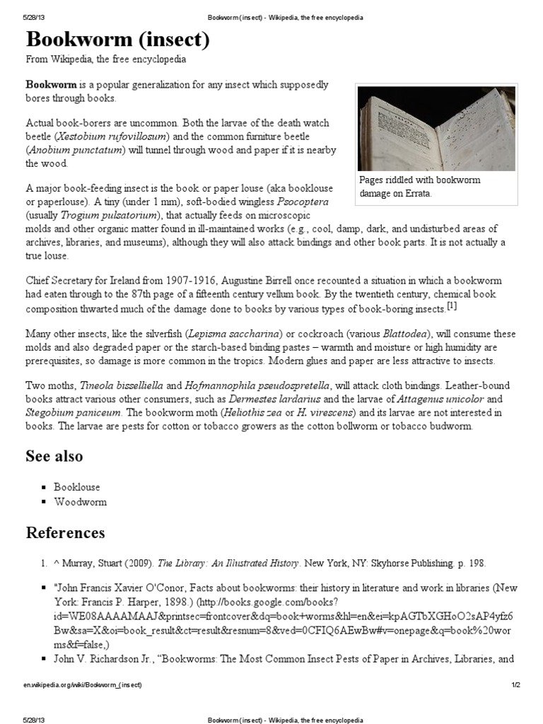 Bookworm (Insect) : See Also | PDF | Insects | Hexapoda