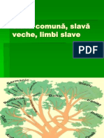 1. Slav-â comun-â, slav-â veche, limbi