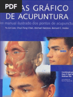 Atlas Grafico de Acupuntura (Seirin)