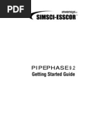 PIPEPHASE Getting Started Guide