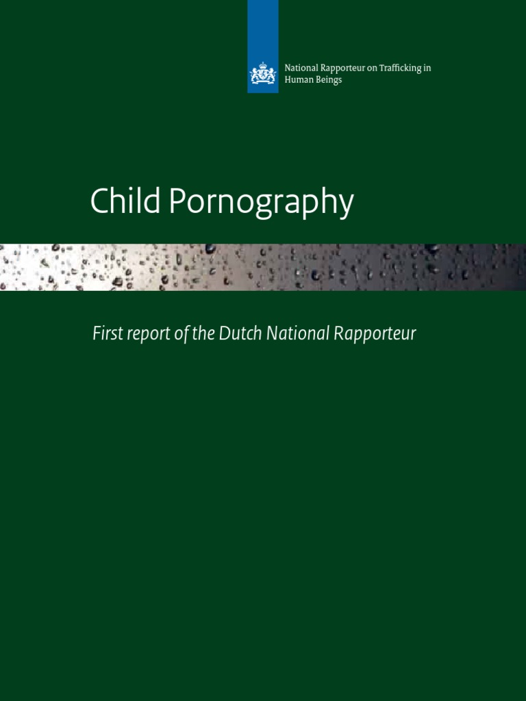 Child Pornography First Report of The Dutch National Rapporteur PDF Child Pornography Victimology image