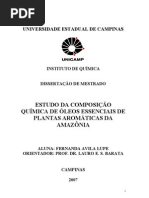plantas aromáticas da amazonia