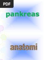 Anatomi & Histologi Pankreas