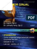 Tumor Ginjal Fix