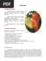 Pimenta s