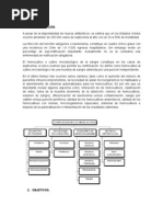 60324412-HEMOCULTIVO