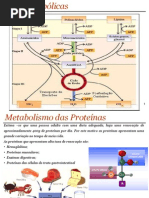 Bioquimica_metabolismo_proteinas