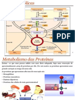 Bioquimica_metabolismo_proteinas