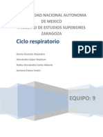 Ciclo Respiratorio