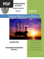 Download Campos Maduros by Israel Mayo SN144343829 doc pdf