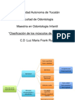 Musculos de La Cara