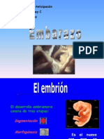 Desarrollo Del Embararo