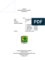 53321121 Fotosintesis PDF