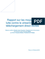 Rapport Streaming 2013