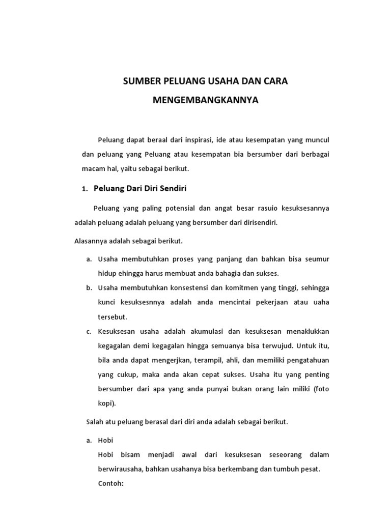 Sumber Peluang Usaha Dan Cara Mengembangkannya