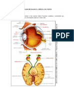 Apostila de Optica Da Visao