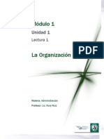 Lectura 1 - La Organización.pdf