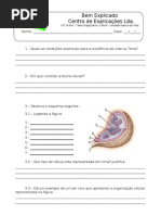 A - 1.1 - Ficha de Trabalho - Condições que permitem a existência de vida -  Célula  (1)